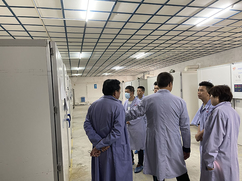 美雄邀請肉食供應公司參觀鴿子養殖
